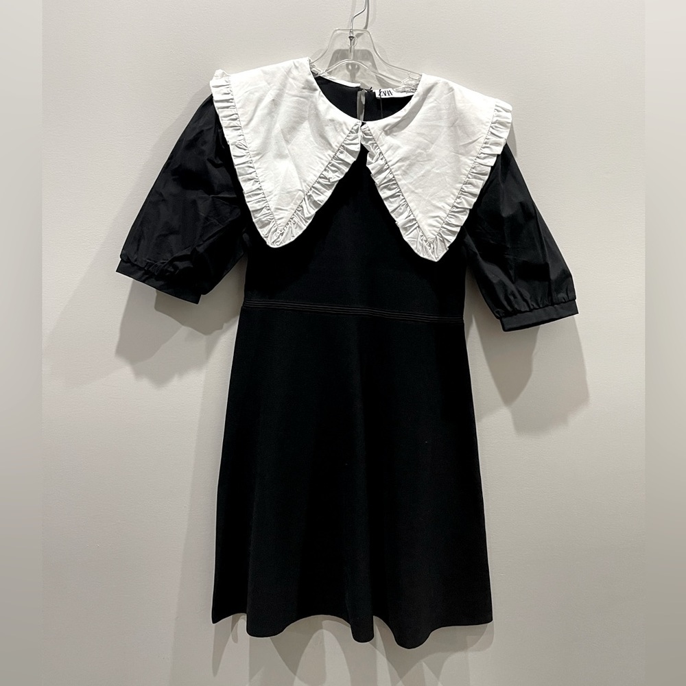 Zara statement collar dress (knit and poplin)